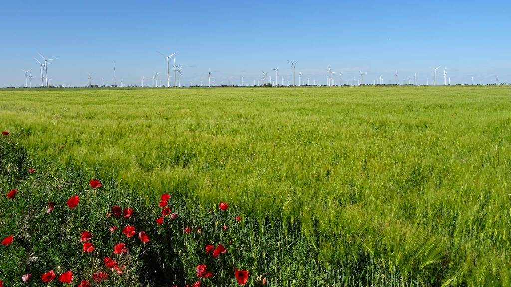 Medioambiente|Medioambiente-suelos